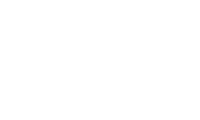 Rays-logo-